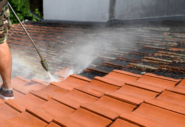 Best Pressure Washing Patio  in Wellton, AZ