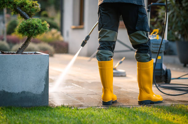Best Exterior Home Cleaning  in Wellton, AZ